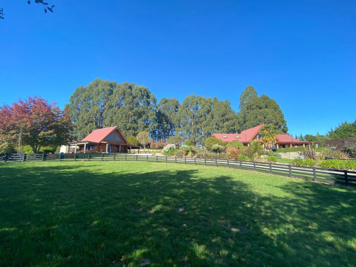 Tree Hut Cottage Masterton Bagian luar foto